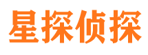 镇沅找人公司